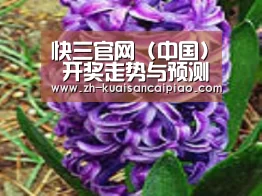 产品名称八