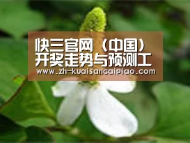 产品名称三