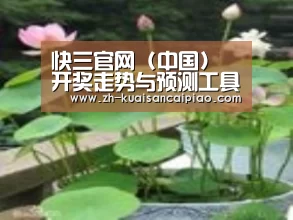 产品名称一