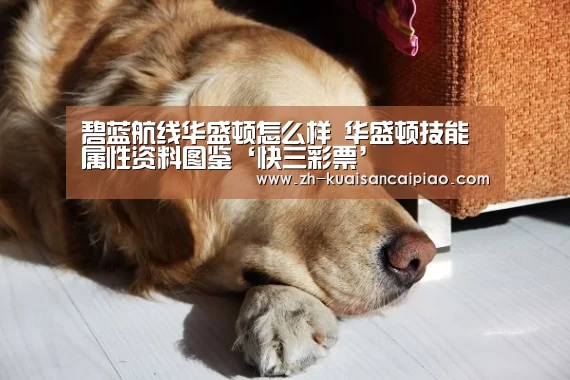 碧蓝航线华盛顿怎么样 华盛顿技能属性资料图鉴‘快三彩票’(图3) 快三彩票