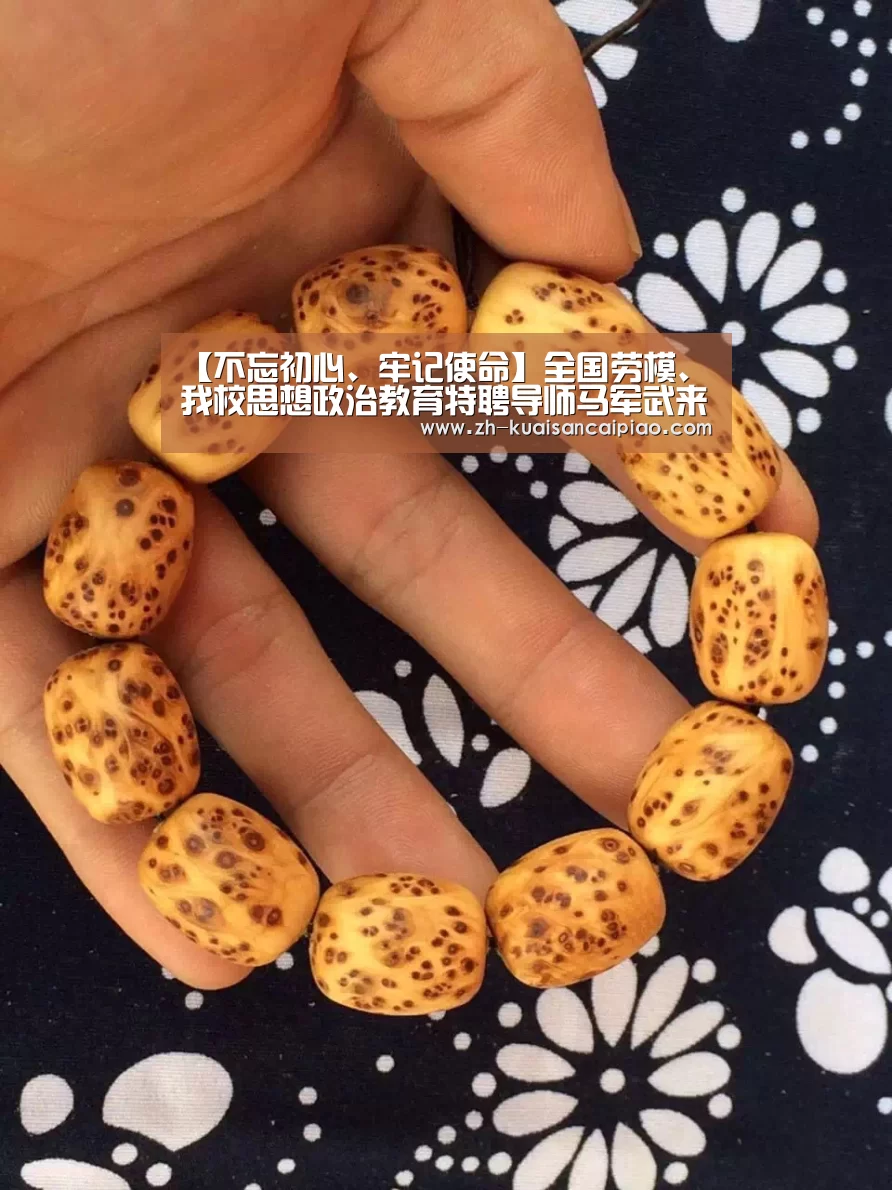 【不忘初心、牢记使命】全国劳模、我校思想政治教育特聘导师马军武来校作报告_快三彩票(图2) 快三彩票