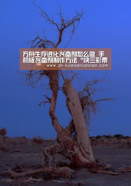 快三彩票