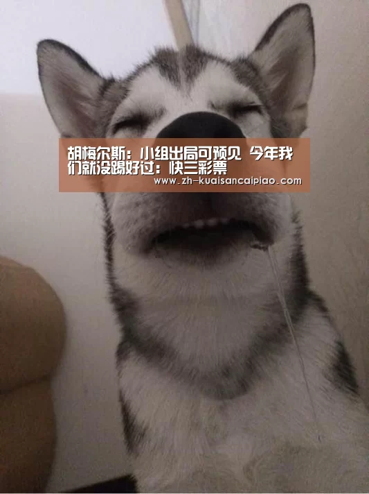 胡梅尔斯:小组出局可预见 今年我们就没踢好过:快三彩票(图3) 快三彩票